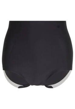 Triumph Medium Series Highwaist Pant - Shapewear - Black -Mode Lingerie Winkel 034099bd24974d01883424618e6d9fe4