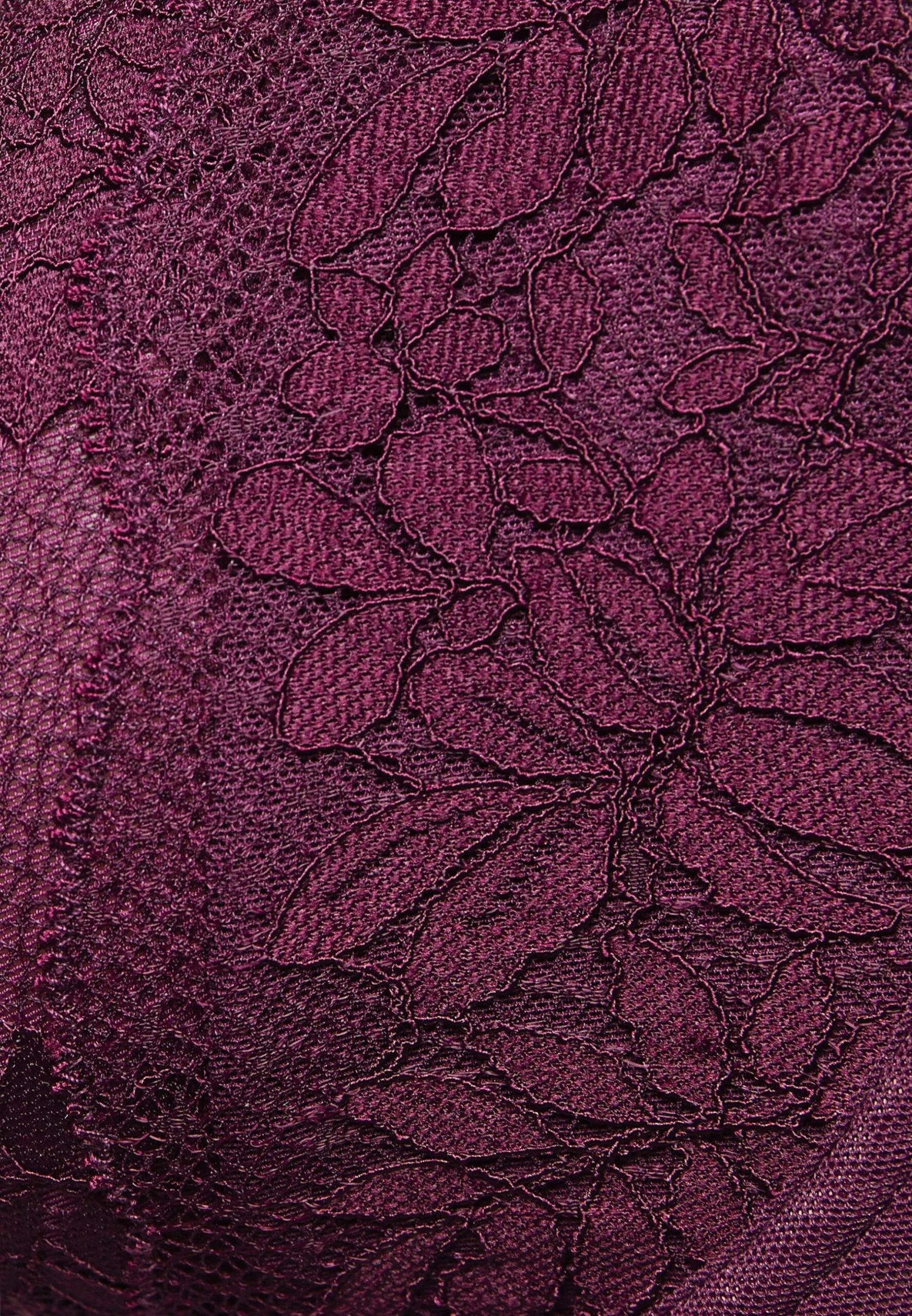 ESPRIT Seasonal The Temting Fit High Apex - Beugel Bh - Bordeaux Red 3 ESPRIT Seasonal The Temting Fit High Apex - Beugel Bh - Bordeaux Red - Afbeelding 3