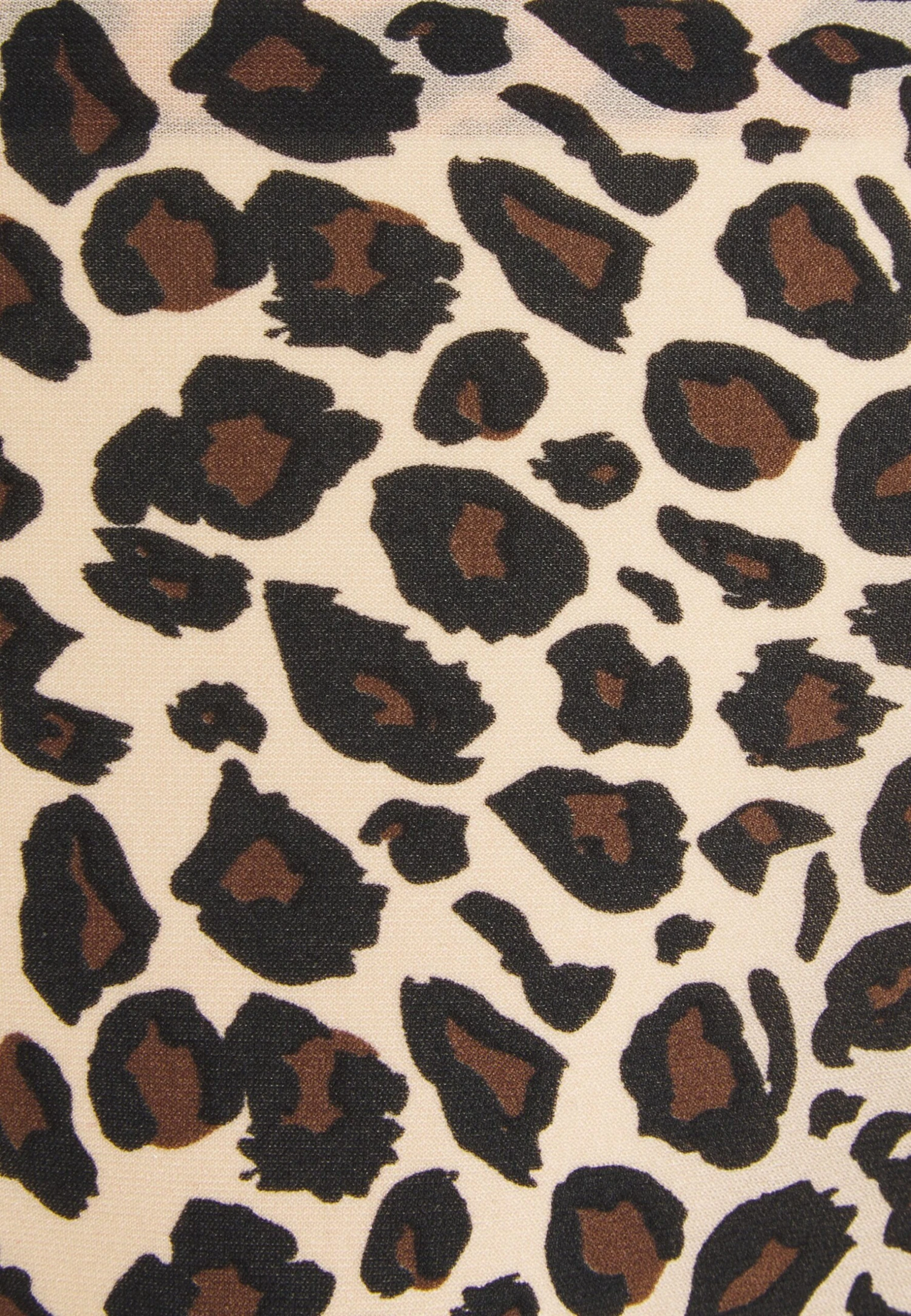 Chantelle Tanga - String - Brown 6 Chantelle Tanga - String - Brown - Afbeelding 6